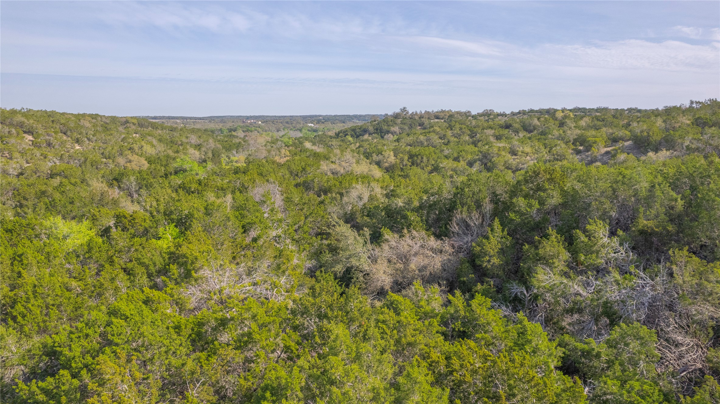 Tbd Bell Springs Road Dripping Springs, TX 78620 - Photo 10 of 40 View of tree filled area