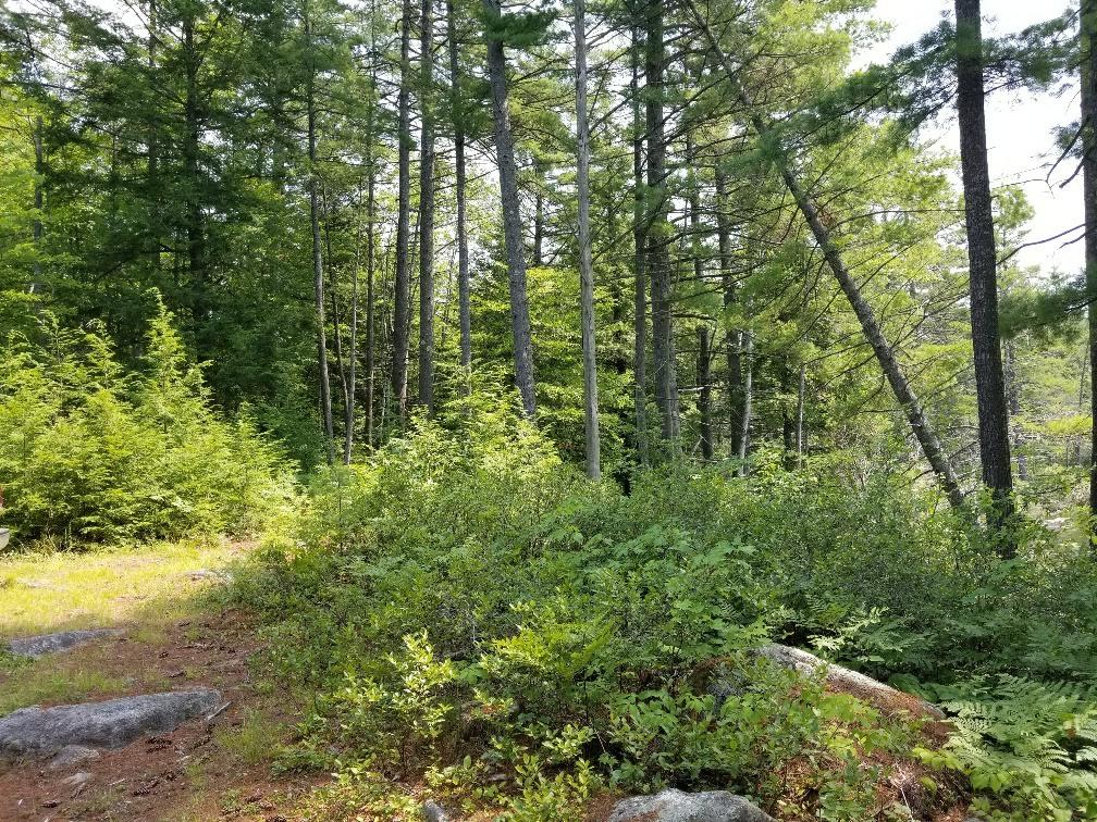 113 North Pond Road Chesterville, ME 04938 - Photo 14 of 35 20180806_133510_resized