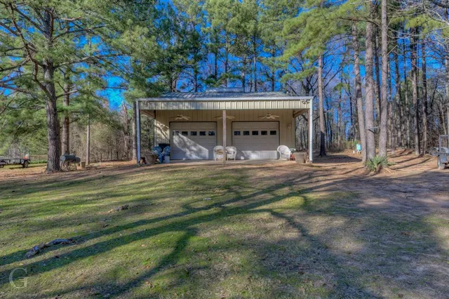 a view of a park that has a large tree