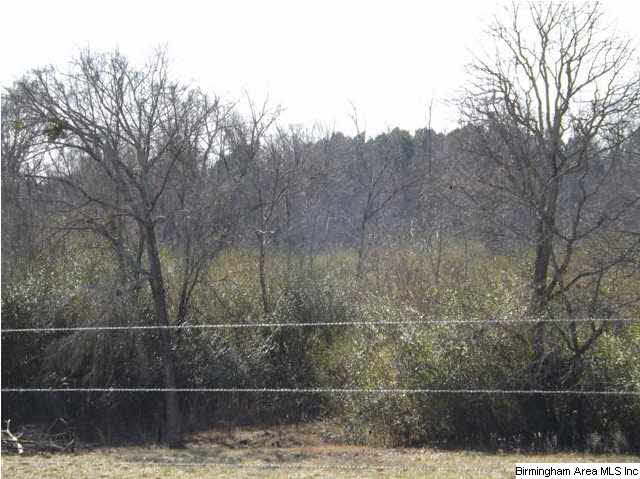 New Prospect Church Road, Unit 16 Horton, AL 35980 - Photo 18 of 20