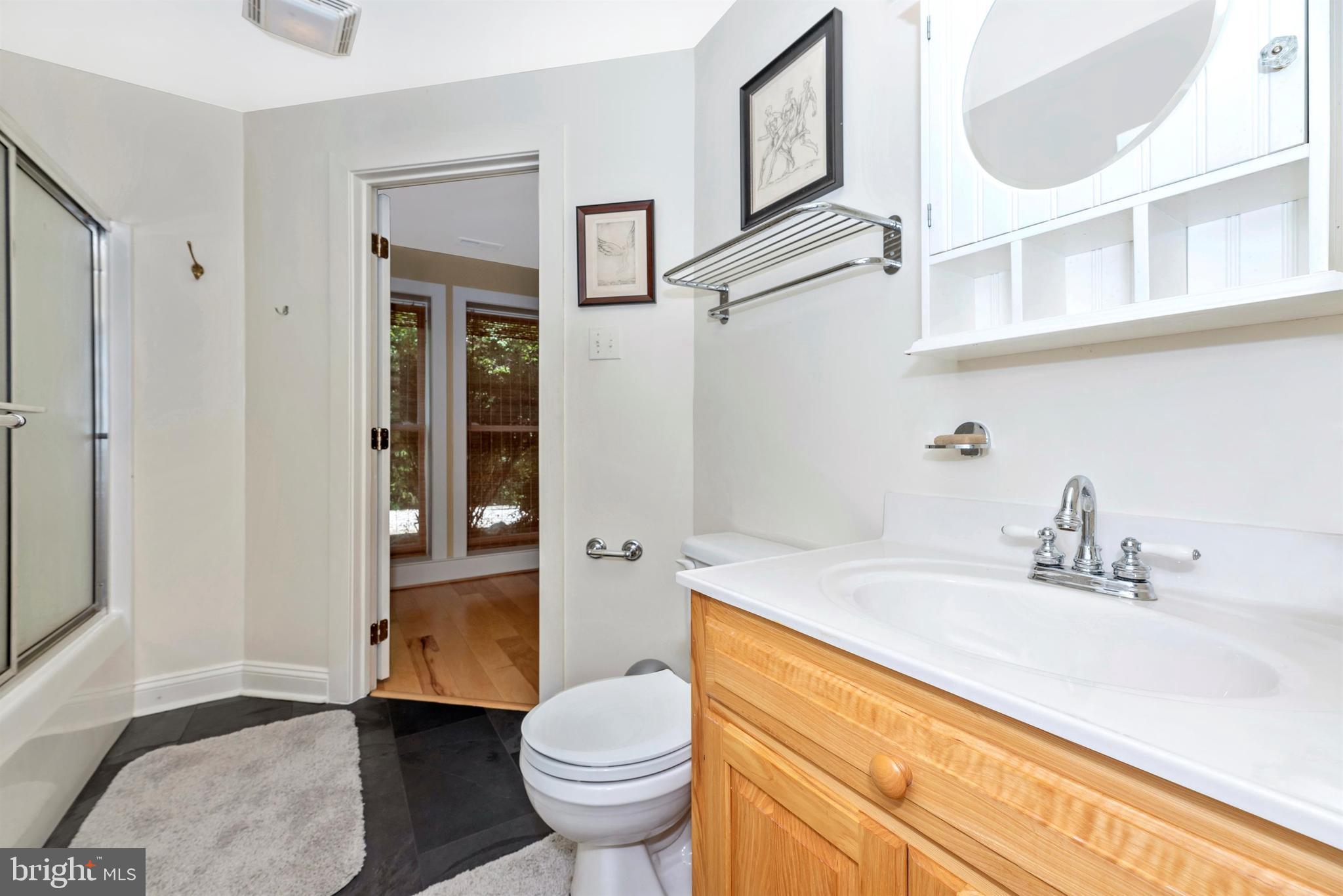 5309 Camp Raudy Road Frederick, MD 21702 - Photo 39 of 89 Lower Level full bath