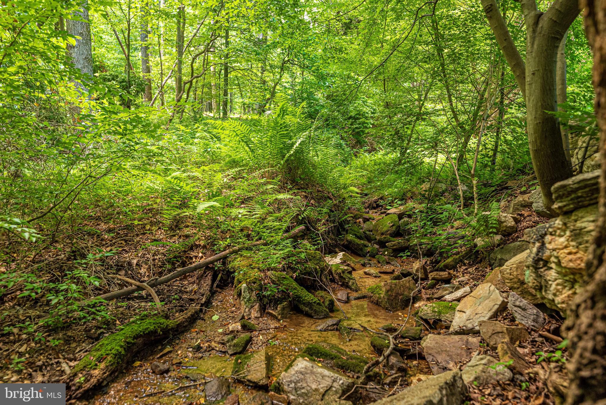 5309 Camp Raudy Road Frederick, MD 21702 - Photo 7 of 89