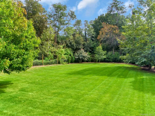 a view of green field with trees in the background