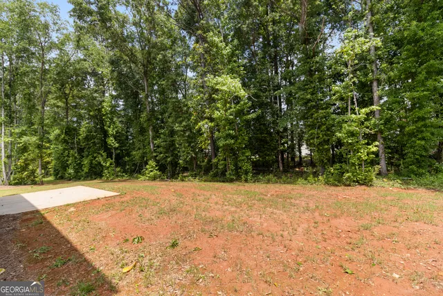 a view of a yard with a tree