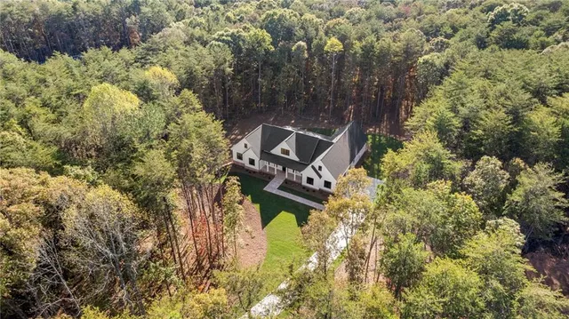 aerial view of a house with large trees