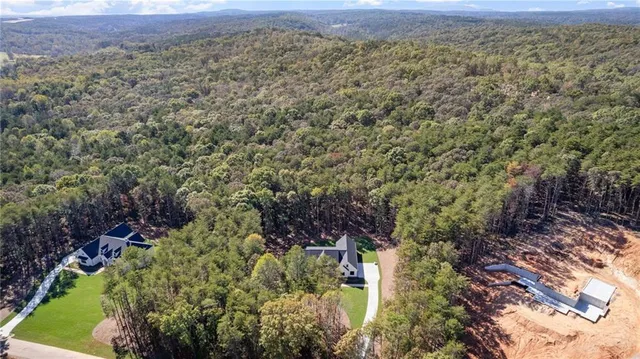 a view of a field with plants and trees