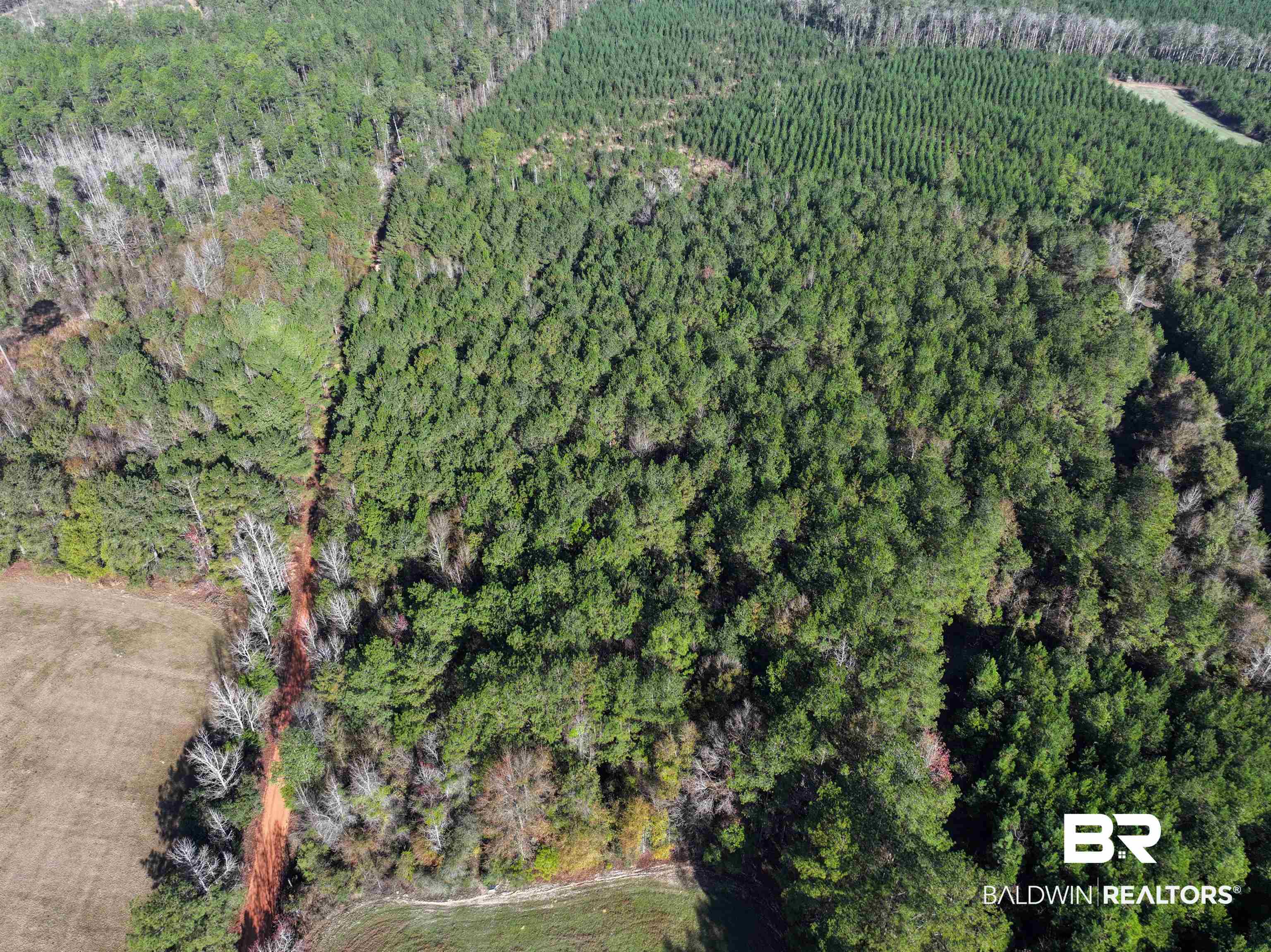 0 Judge Level Road Brewton, AL 36426 - Photo 6 of 9 Birds eye view of property