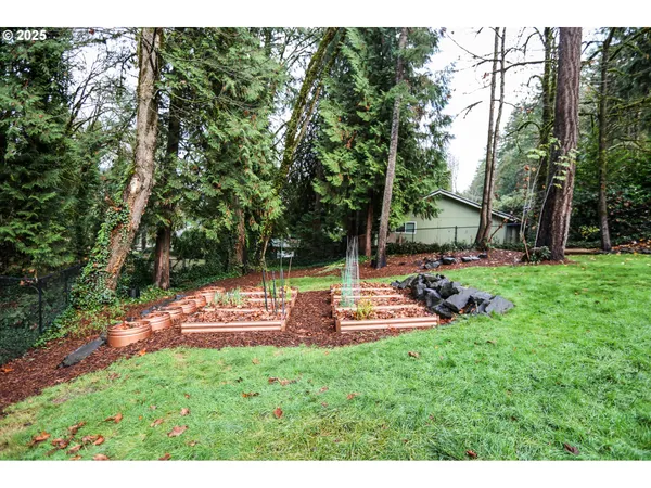 a view of a backyard with large trees