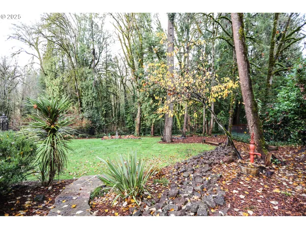 a view of a backyard with wooden fence