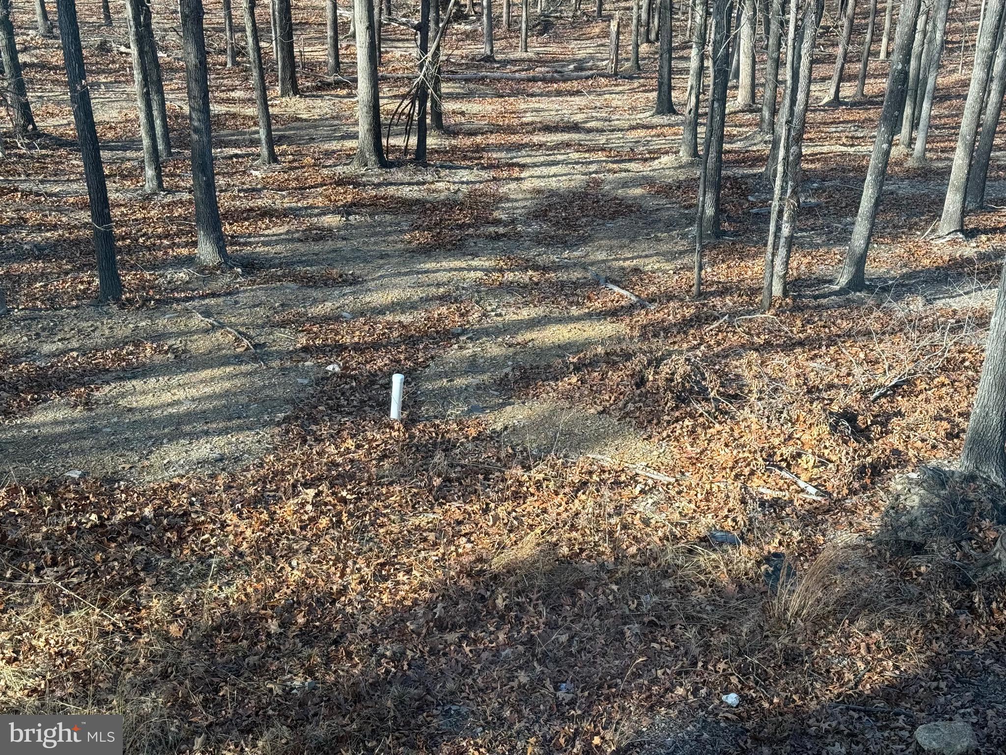 4352 Timber Ridge Road Berkeley Springs, WV 25411 - Photo 14 of 33 a backyard of a house with lots of green space
