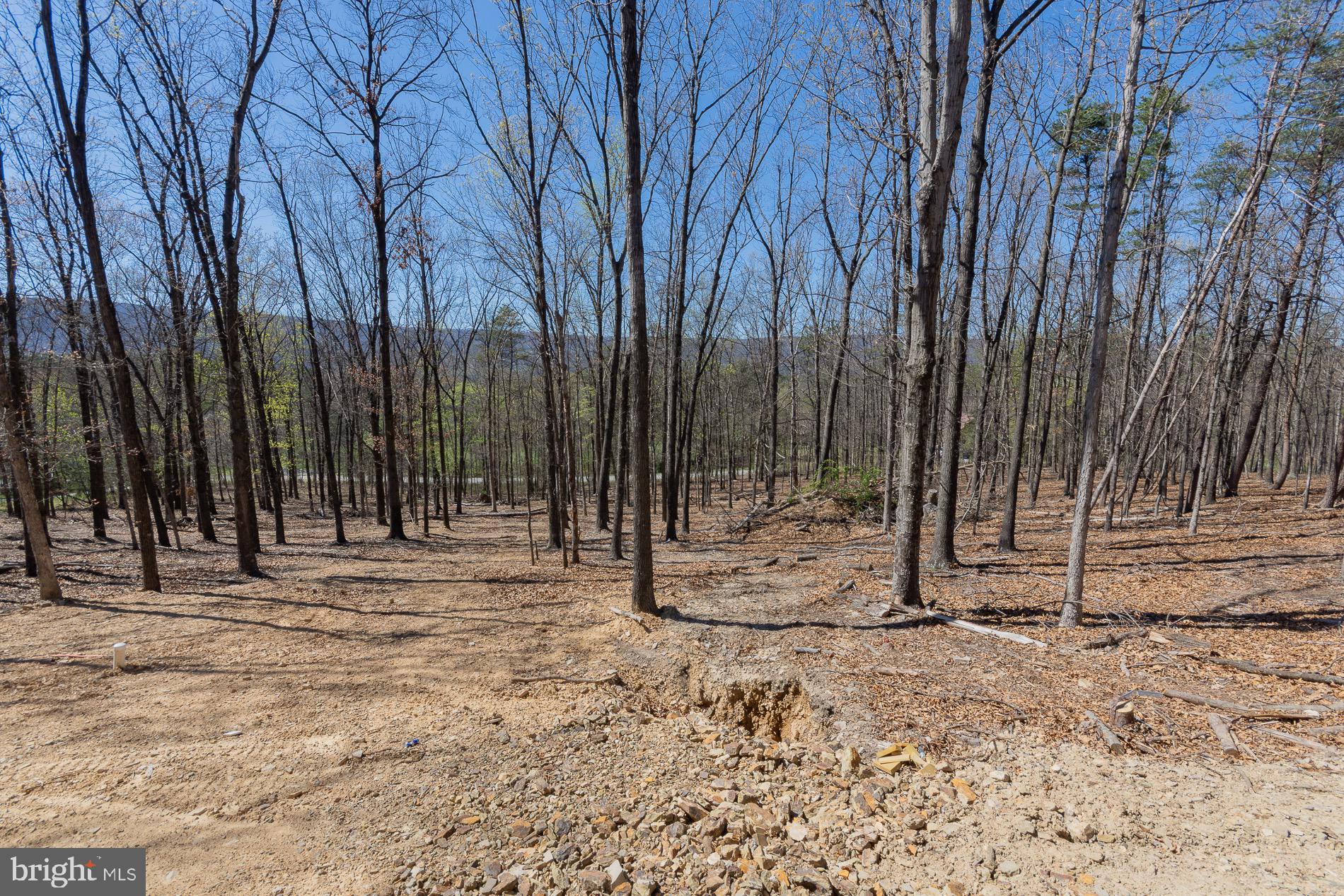 4352 Timber Ridge Road Berkeley Springs, WV 25411 - Photo 19 of 85