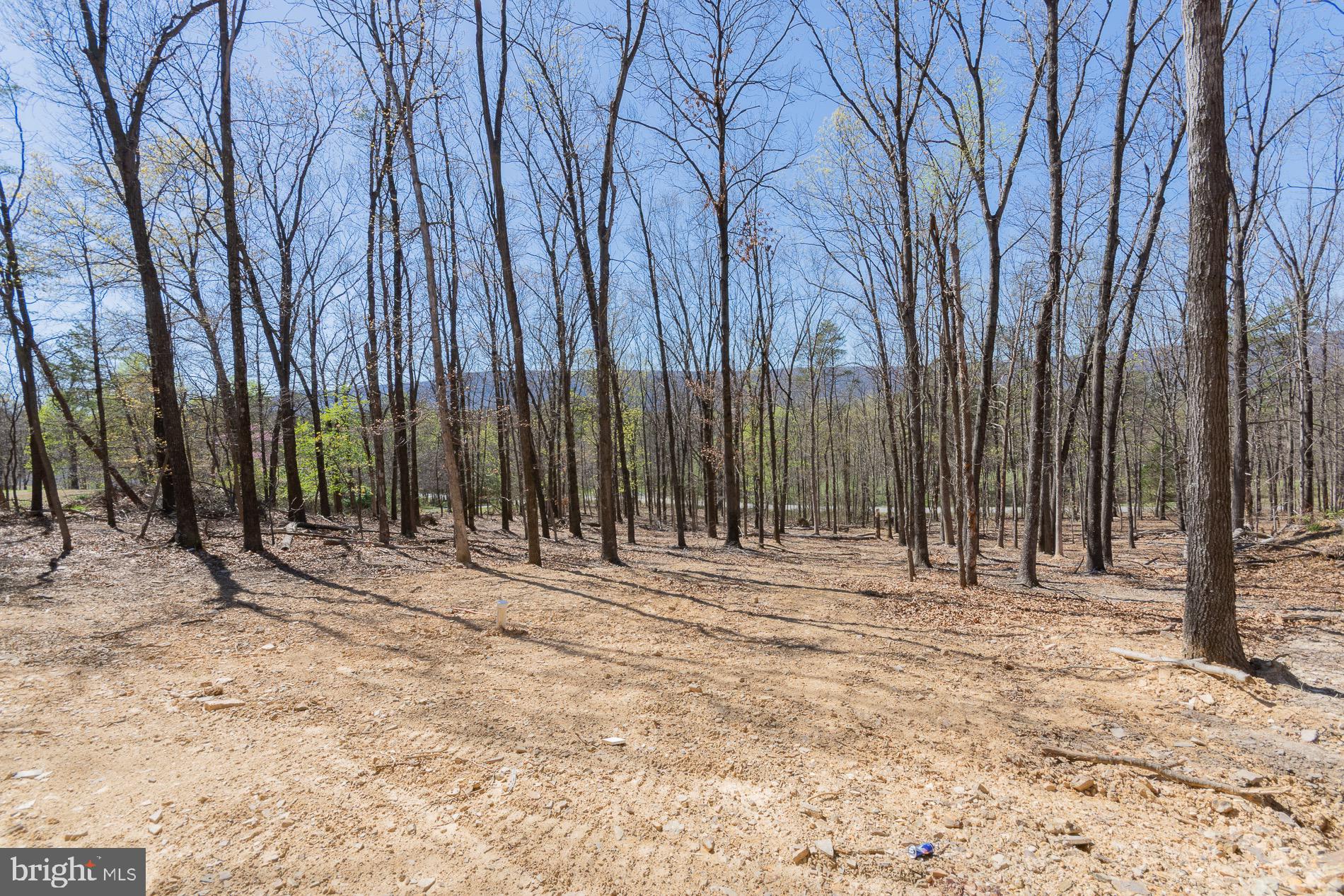 4352 Timber Ridge Road Berkeley Springs, WV 25411 - Photo 25 of 85