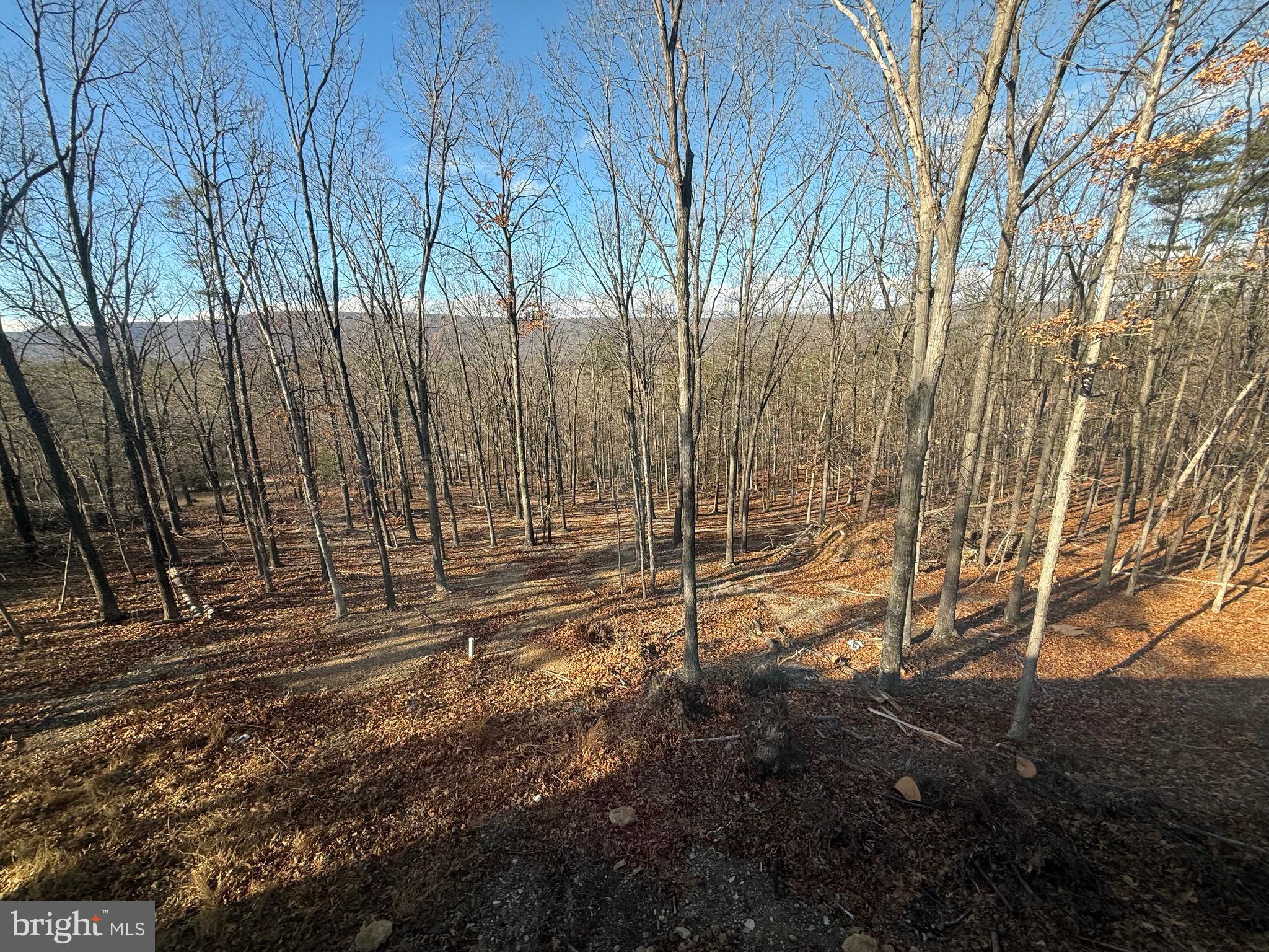 4352 Timber Ridge Road Berkeley Springs, WV 25411 - Photo 29 of 33 a view of forest