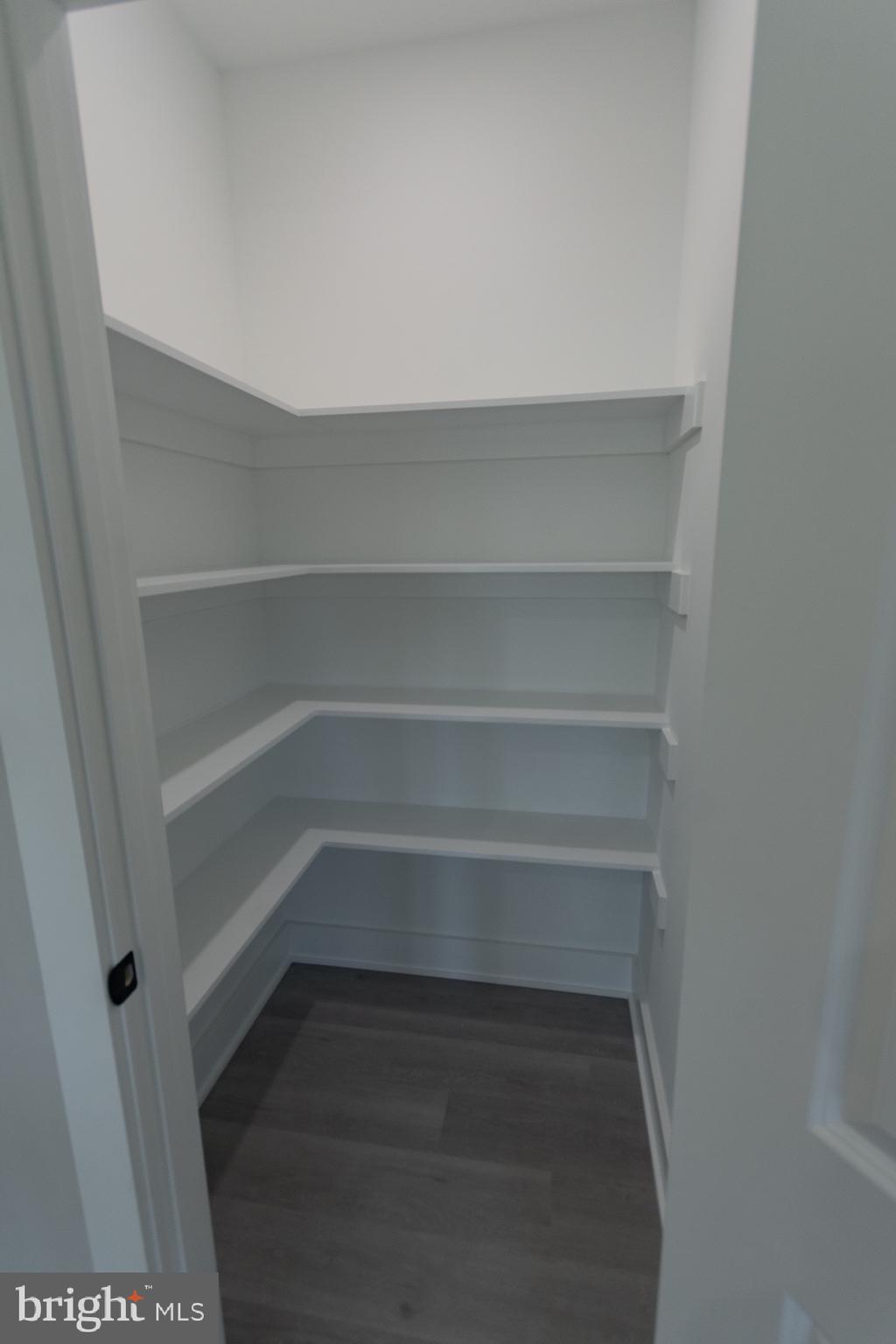 4352 Timber Ridge Road Berkeley Springs, WV 25411 - Photo 72 of 85 a view of walk in closet with empty racks