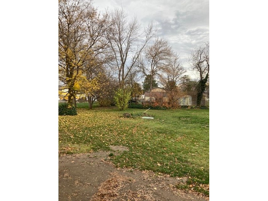 46368 Durham Place Pendleton, OR 97801 - Photo 23 of 32 a view of a green yard with large trees