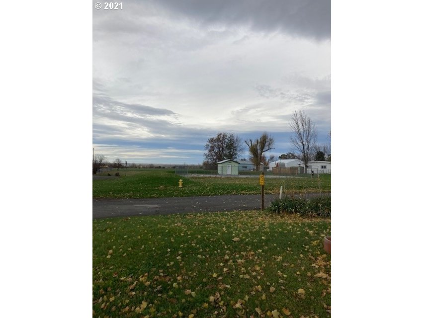 46368 Durham Place Pendleton, OR 97801 - Photo 29 of 32 a view of a green field