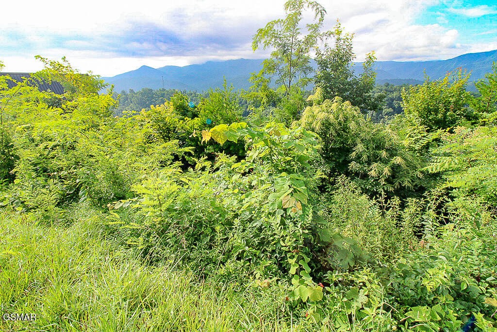 254 Village Loop Road Gatlinburg, TN 37738 - Photo 5 of 38 Gallery Image 5