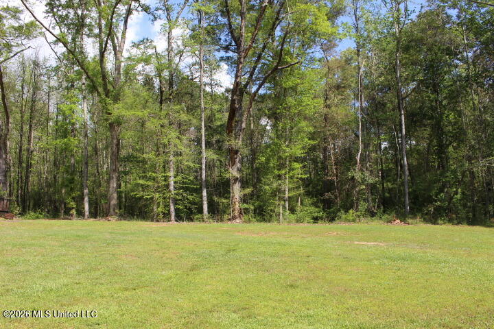 2306 Simpson Highway 469 Florence, MS 39073 - Photo 64 of 73 IMG_8249