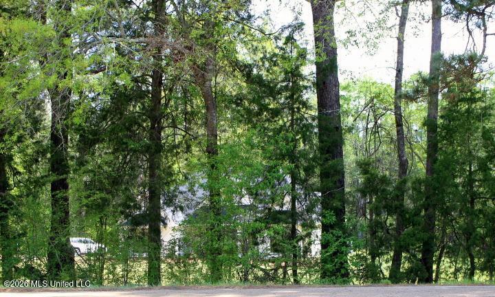 2306 Simpson Highway 469 Florence, MS 39073 - Photo 65 of 73 IMG_8231