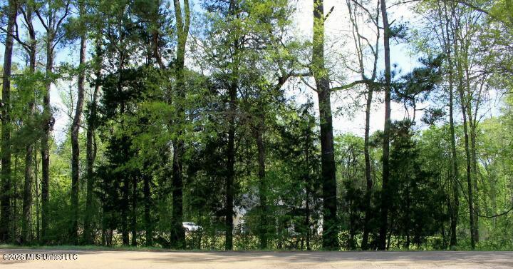 2306 Simpson Highway 469 Florence, MS 39073 - Photo 66 of 73 IMG_8232