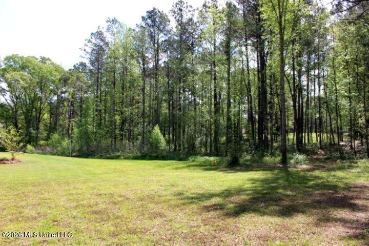 2306 Simpson Highway 469 Florence, MS 39073 - Photo 68 of 73 IMG_8242