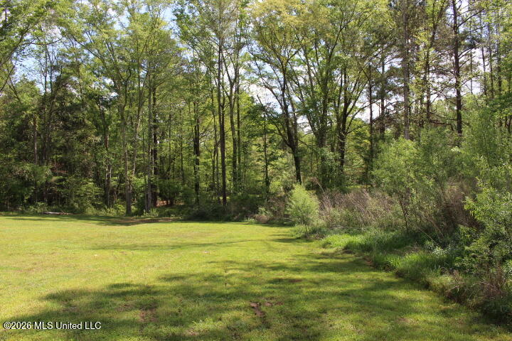 2306 Simpson Highway 469 Florence, MS 39073 - Photo 70 of 73 IMG_8248