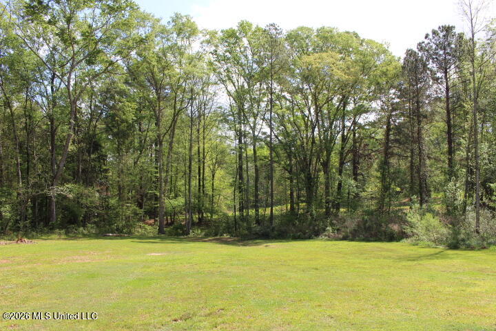 2306 Simpson Highway 469 Florence, MS 39073 - Photo 71 of 73 IMG_8258