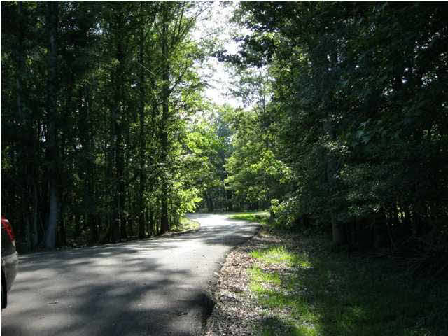 0 Robinwood Lane Ridgeland, MS 39157 - Photo 1 of 1 The road home