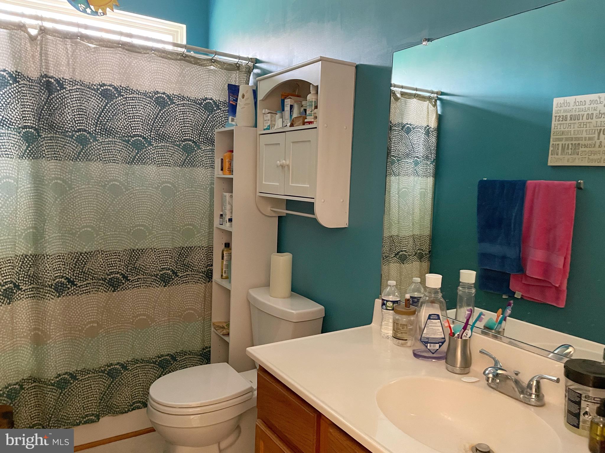 197 Locust Drive Louisa, VA 23093 - Photo 18 of 50 tub/shower combo with window for beautiful light