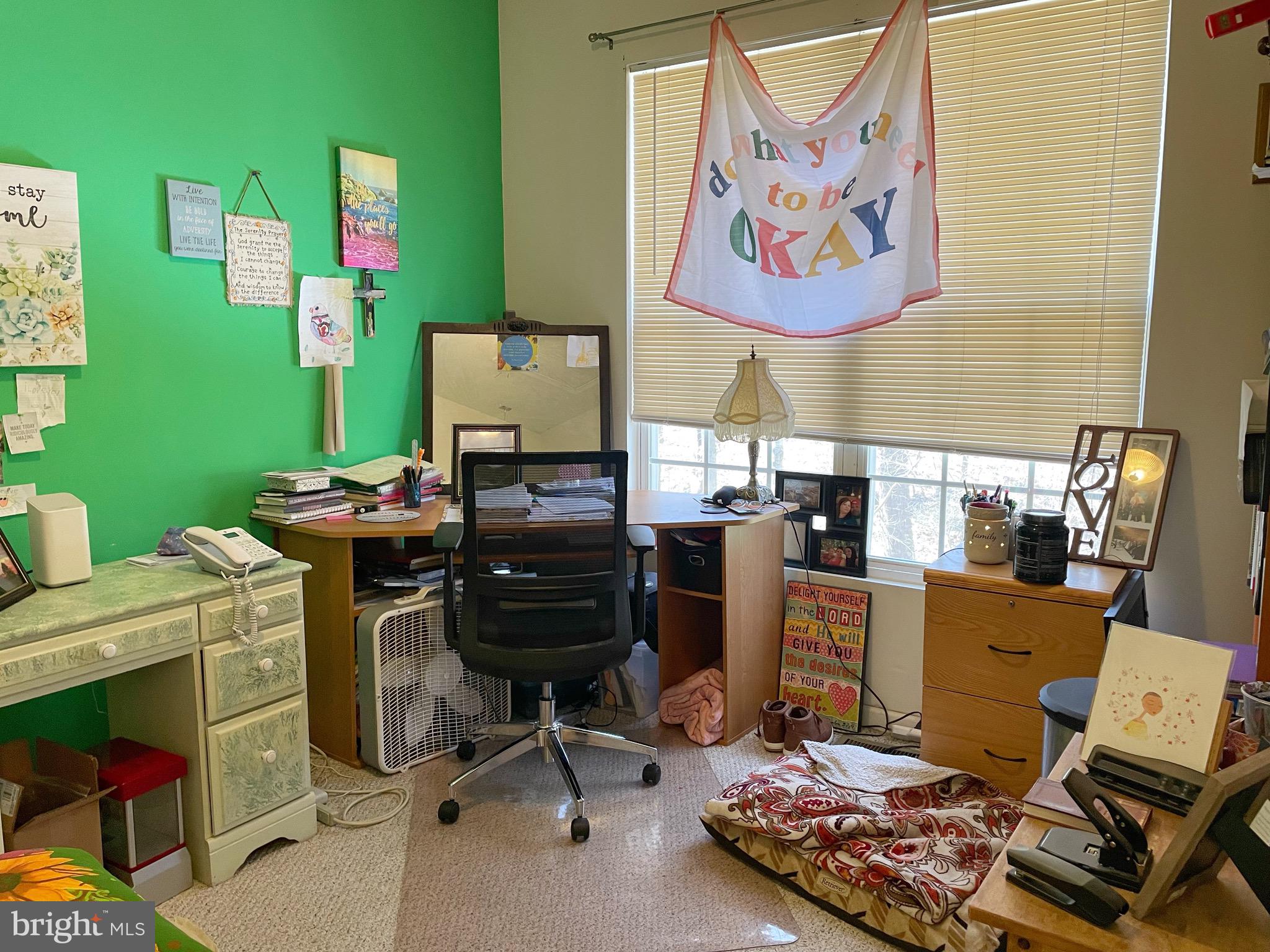 197 Locust Drive Louisa, VA 23093 - Photo 20 of 50 3rd light filled bedroom / home office