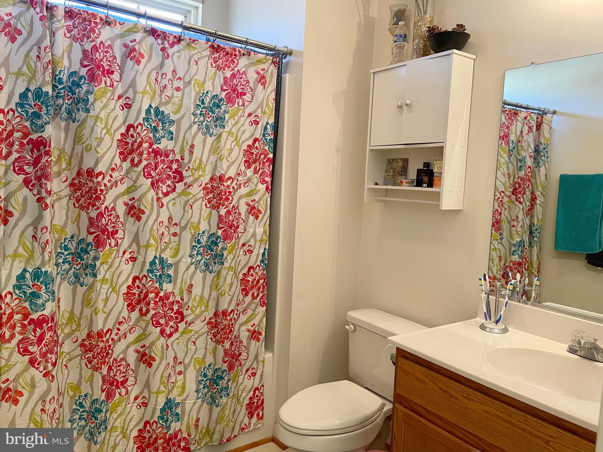 197 Locust Drive Louisa, VA 23093 - Photo 21 of 50 2nd Full bathroom w/ tub-shower combo