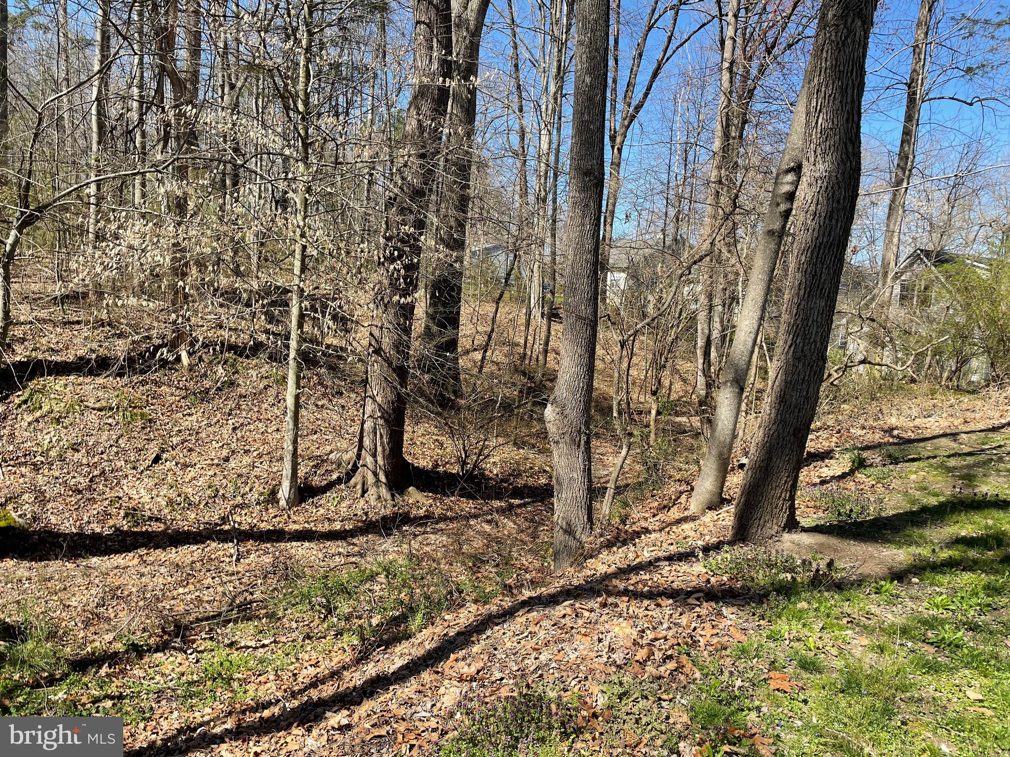 197 Locust Drive Louisa, VA 23093 - Photo 34 of 50 Private side yard with stream/creek