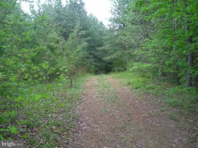 1046 Houchens Road Mineral, VA 23117 - Photo 2 of 4 Nice cleared path to walk the property