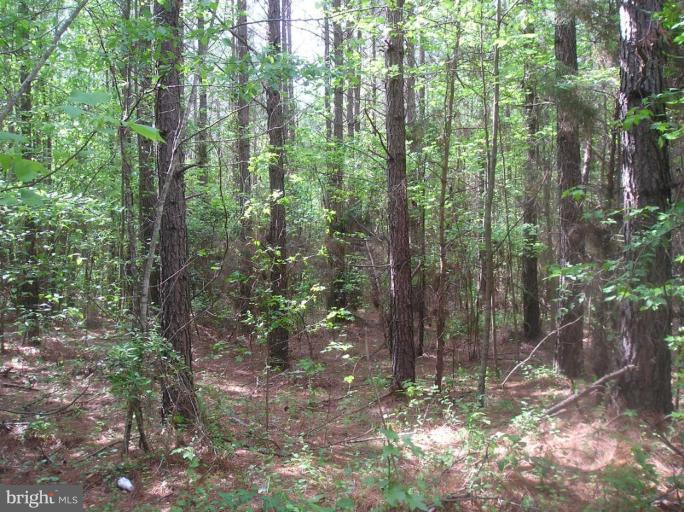 1046 Houchens Road Mineral, VA 23117 - Photo 3 of 4 Other #3
