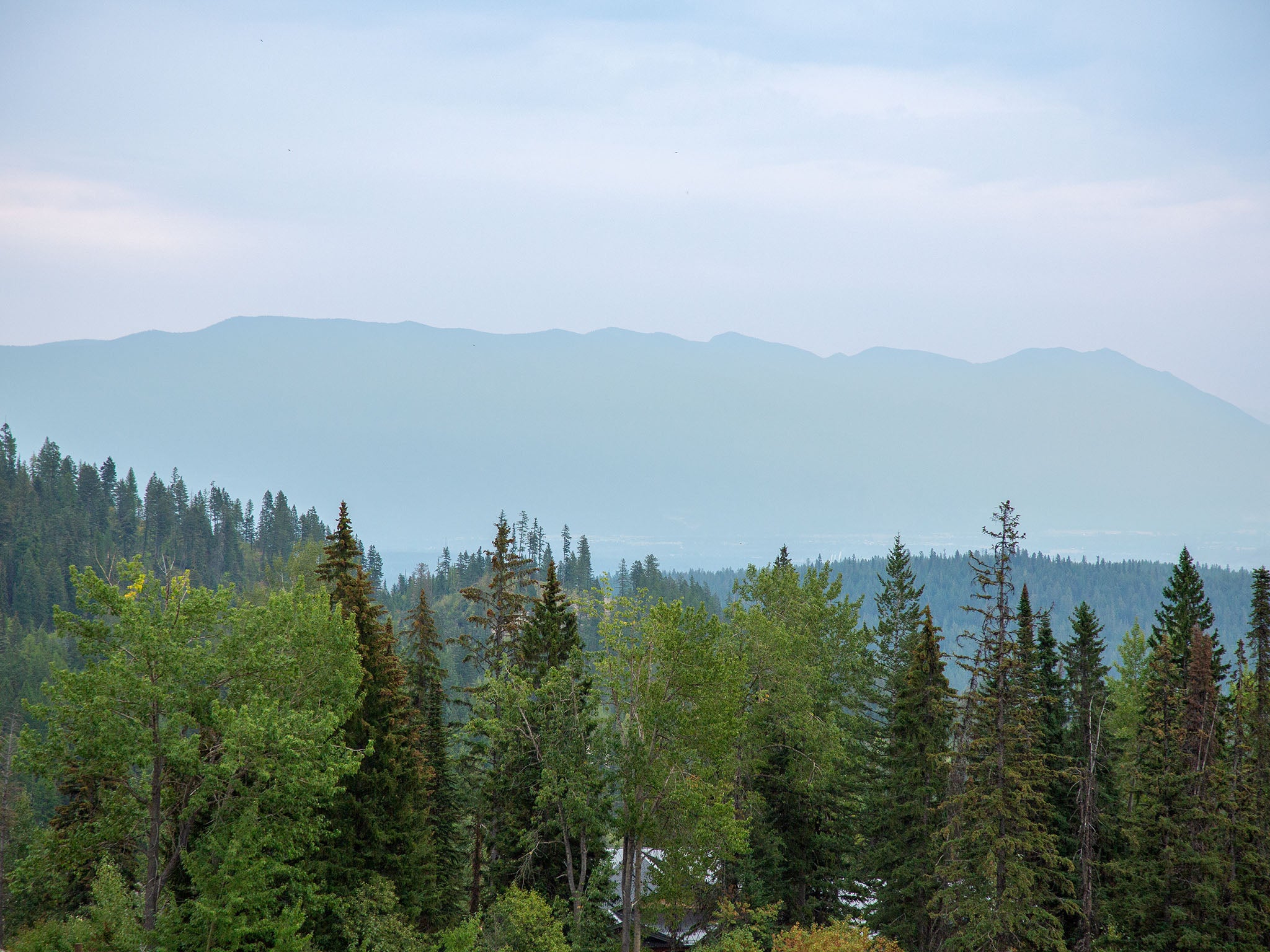 3898 Big Mountain Road, Unit 207 Whitefish, MT 59937 - Photo 20 of 45 Gallery Image 20