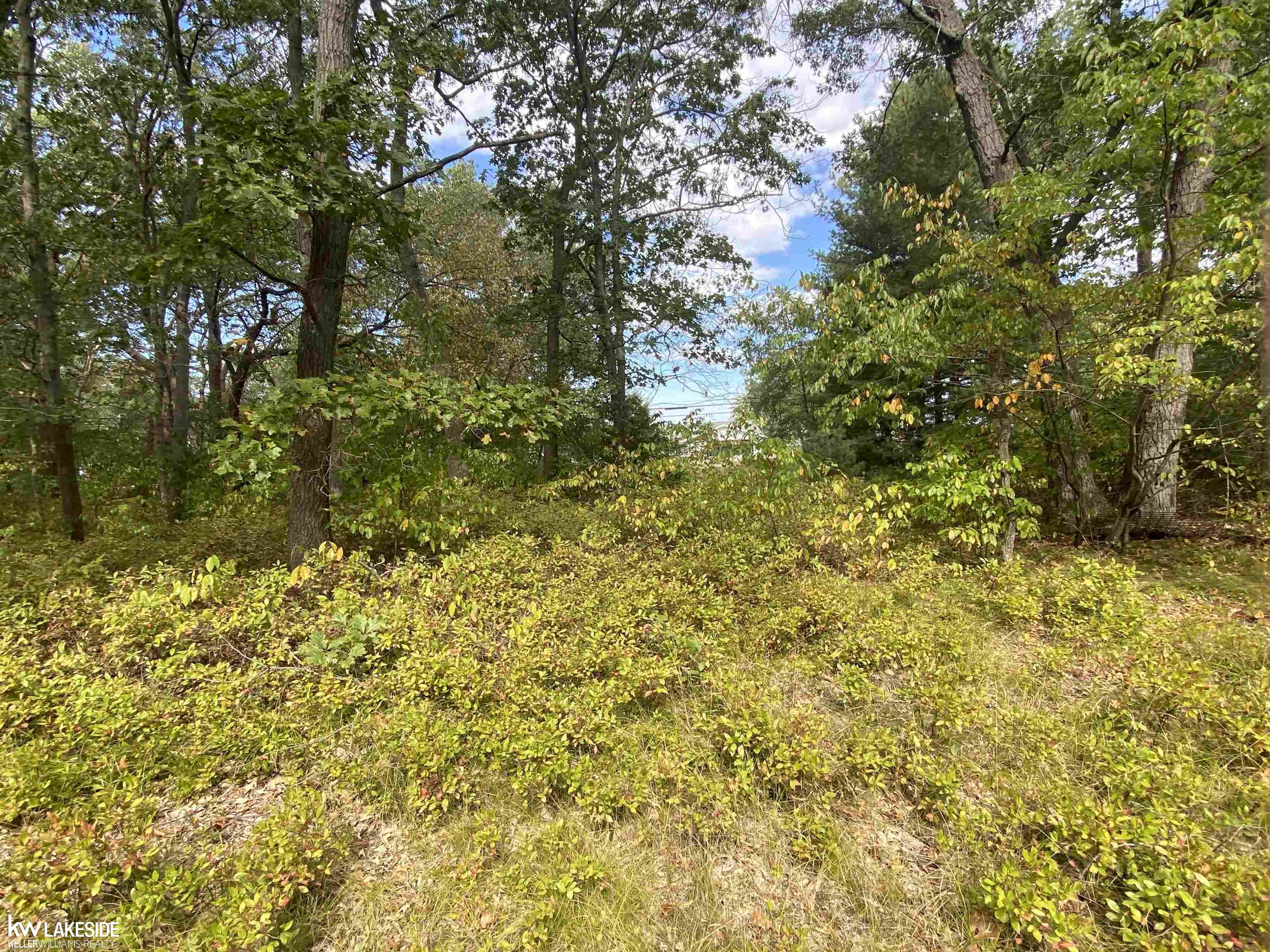 0 Port Austin Road Caseville, MI 48725 - Photo 5 of 6
