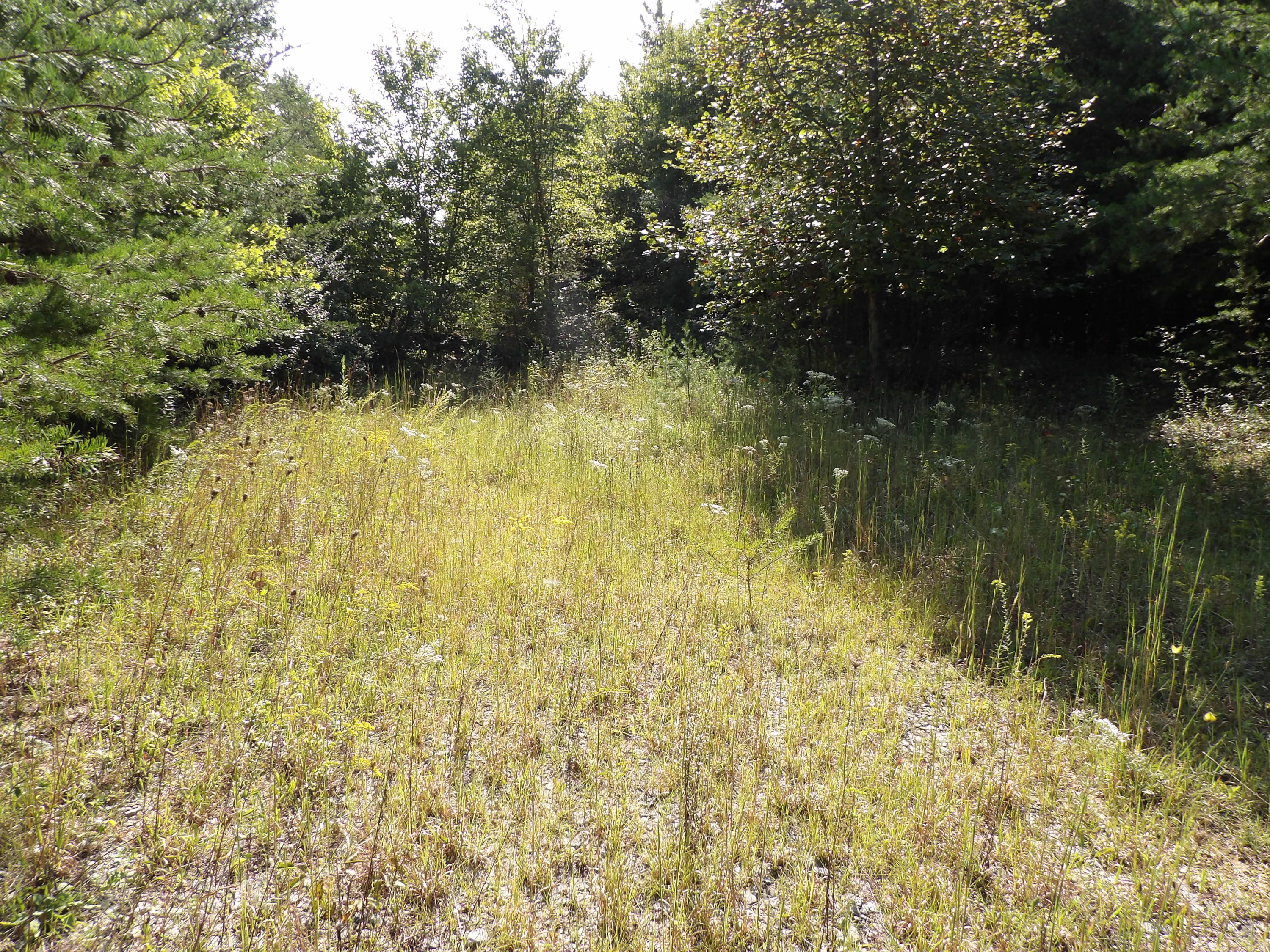 0 Grandview Bluff Road, Unit 2 Spencer, TN 38585 - Photo 1 of 18 100_1455