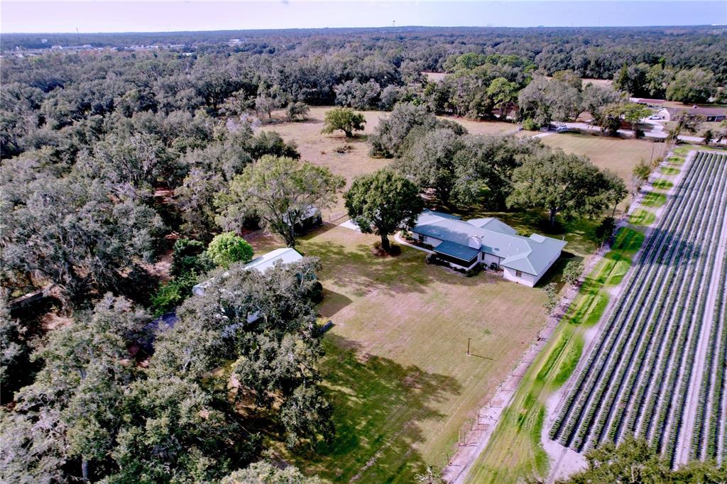 9471 McIntosh Road Dover, FL 33527 - Photo 30 of 34 an aerial view of a house with a yard