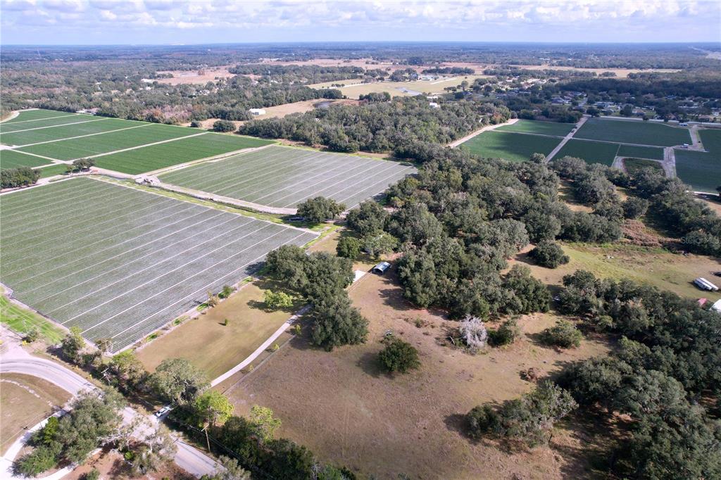9471 McIntosh Road Dover, FL 33527 - Photo 32 of 34 an aerial view of a house
