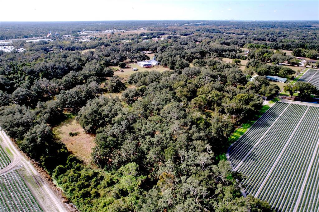 9471 McIntosh Road Dover, FL 33527 - Photo 33 of 34 an aerial view of a house with a yard