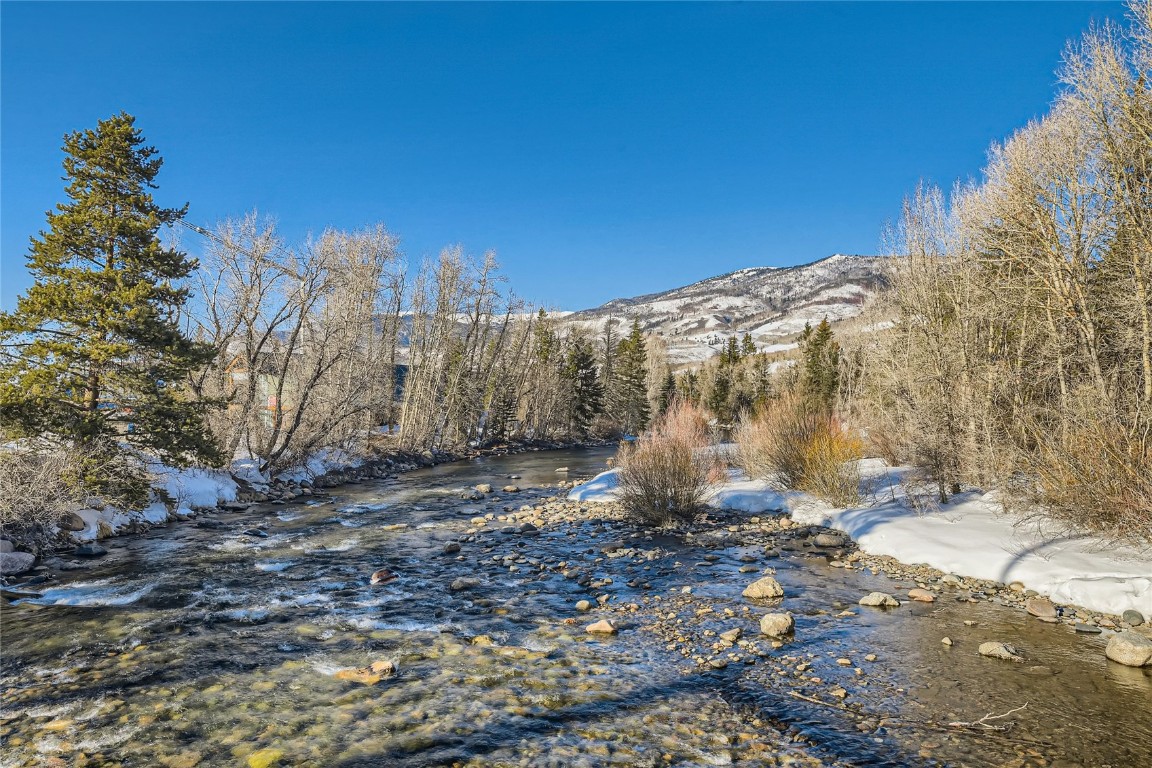 46 6th Street, Unit A1 Silverthorne, CO 80498 - Photo 28 of 28 a view of a yard with large trees
