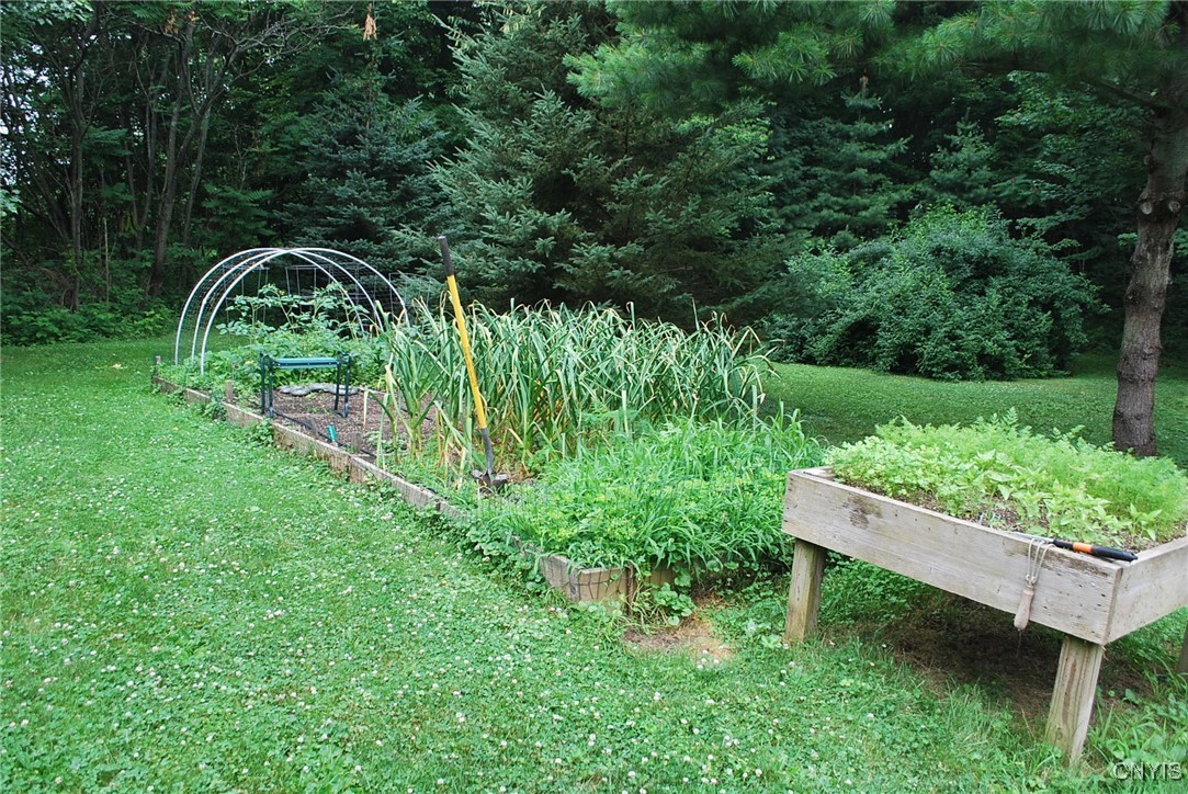 512 County Rte 1 New Haven, NY 13126 - Photo 31 of 46