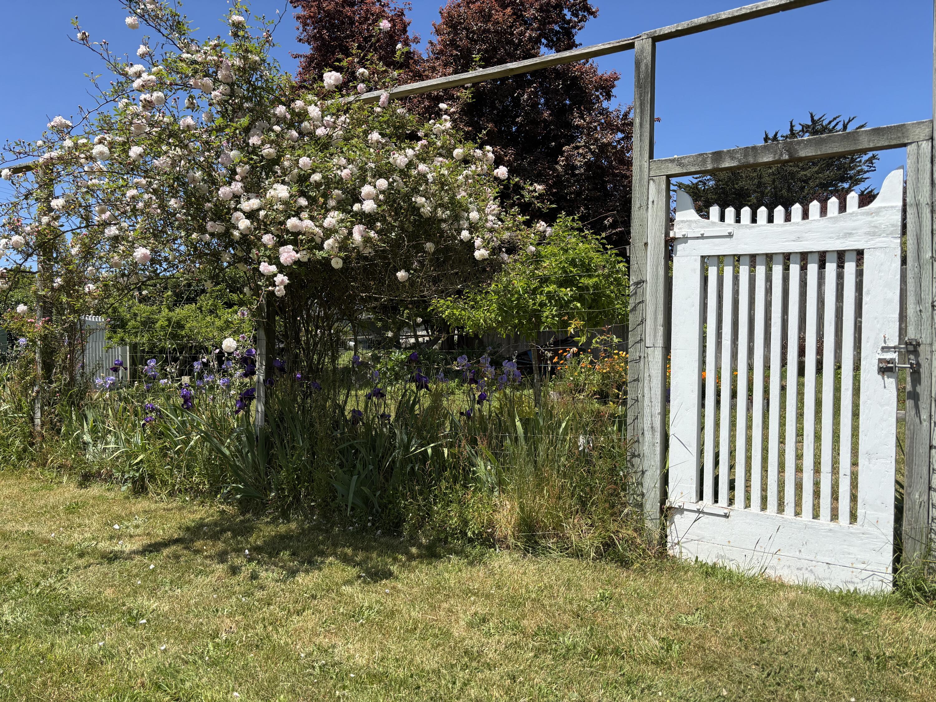 1584 Old Arcata Road Arcata, CA 95521 - Photo 4 of 28