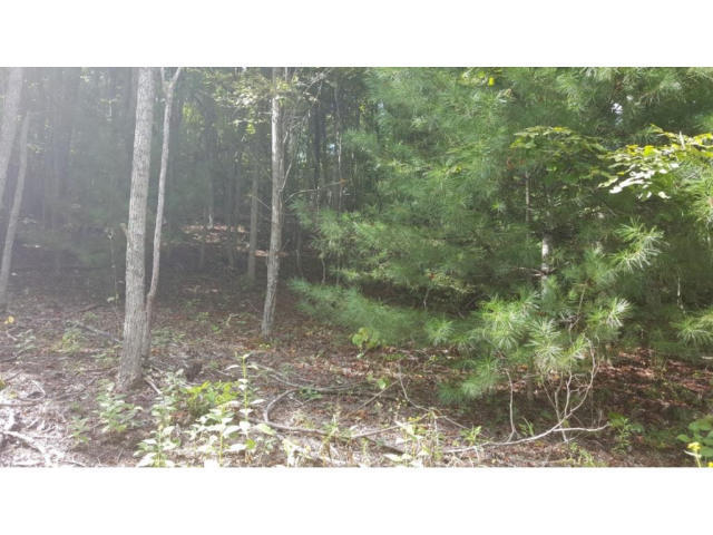 3 Roller Road Unicoi, TN 37692 - Photo 11 of 18 20191109012555281729000000-o