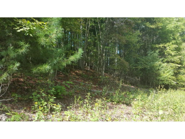 3 Roller Road Unicoi, TN 37692 - Photo 13 of 18 20191109012554635092000000-o