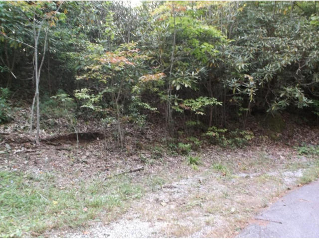 3 Roller Road Unicoi, TN 37692 - Photo 4 of 18 20191109012558142262000000-o