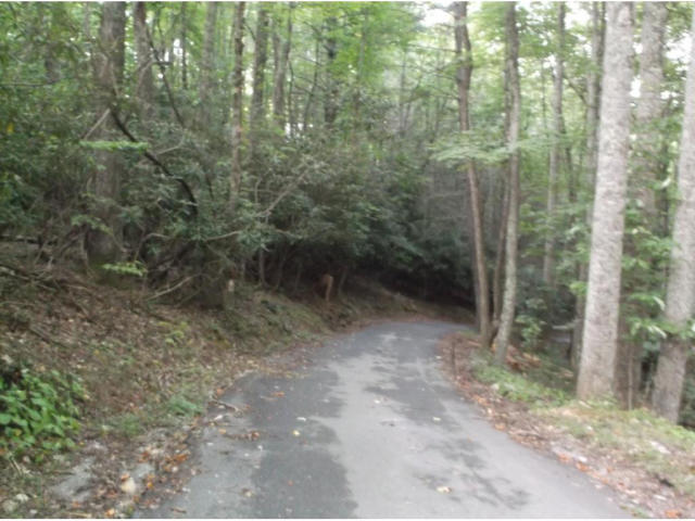 3 Roller Road Unicoi, TN 37692 - Photo 6 of 18 20191109012557548890000000-o