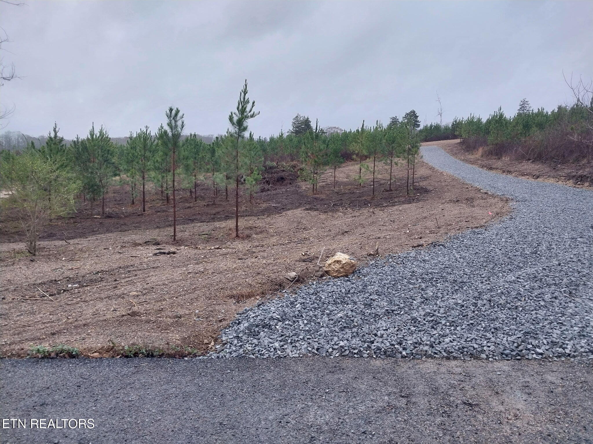 339 Big Sewee Road Decatur, TN 37322 - Photo 2 of 7 172