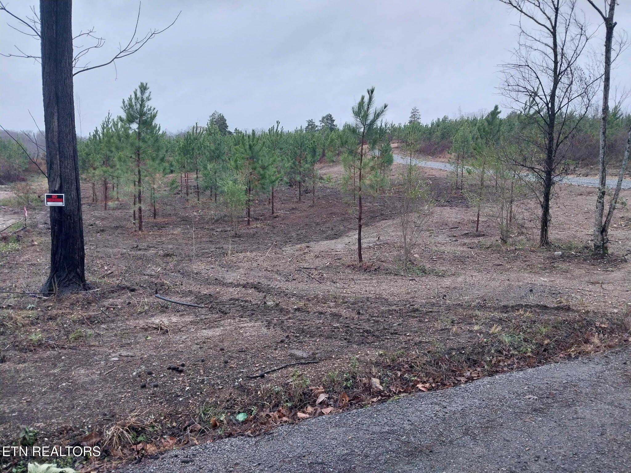 339 Big Sewee Road Decatur, TN 37322 - Photo 3 of 7 173