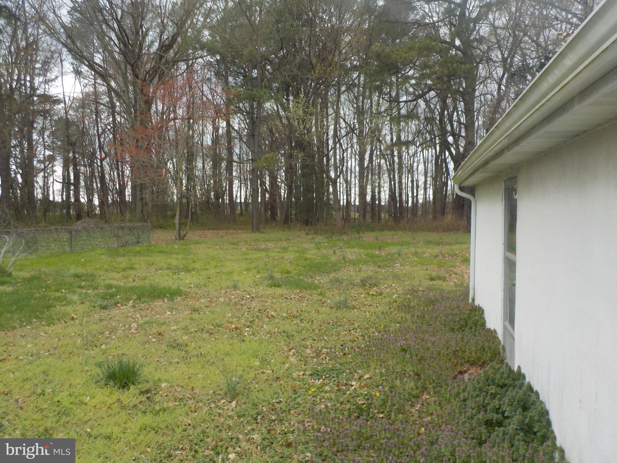 1419 Stone Boundary Road Cambridge, MD 21613 - Photo 19 of 21 Rear yard